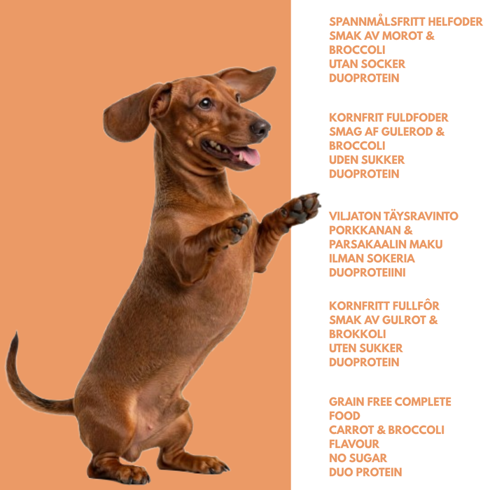 Veal & rabbit meal for seniors – Delicious wet food for dogs