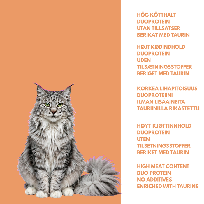 Rabbit & Chicken Meal for Cats - Delicate wet food for cats