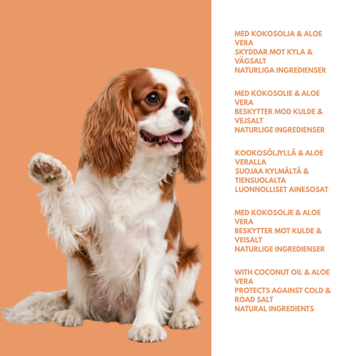 BIG PAW-TY Potepleie for hunder