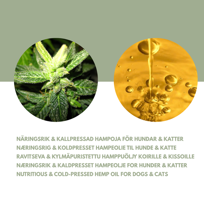 Hampefrø – Naturlig omsorg för päls og velmående