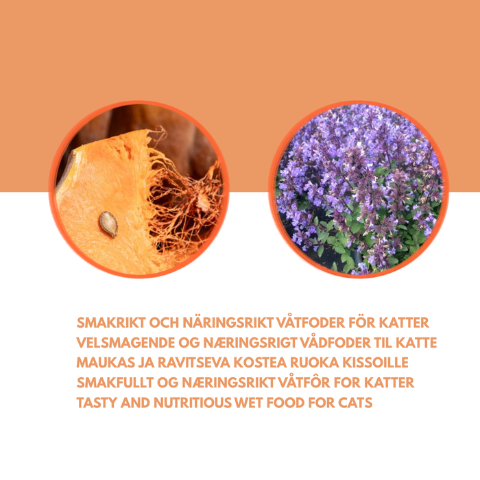 Ankka- & kanateria ateria kissalle - Herkullista märkäruokaa kissoille