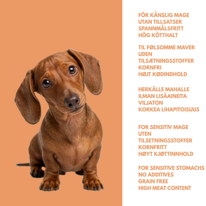 Angus beef & lamb meal - Delicious wet food for dogs
