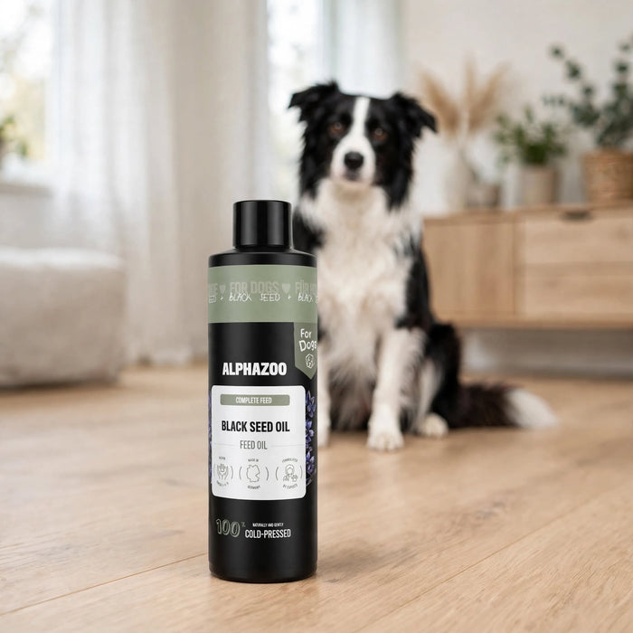 Black Cumin Oil – Cold-pressed feed supplement for dogs