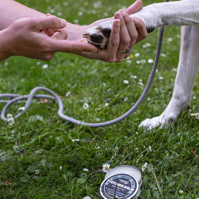 Tassbalsam för mjuka och skyddade tassar till hund och katt